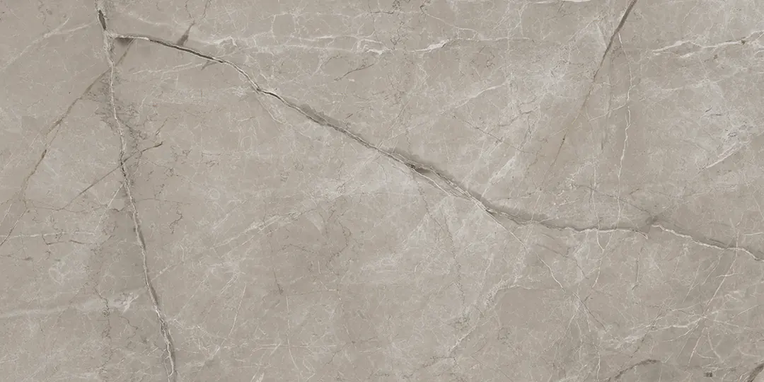 ARGENTA GRIS