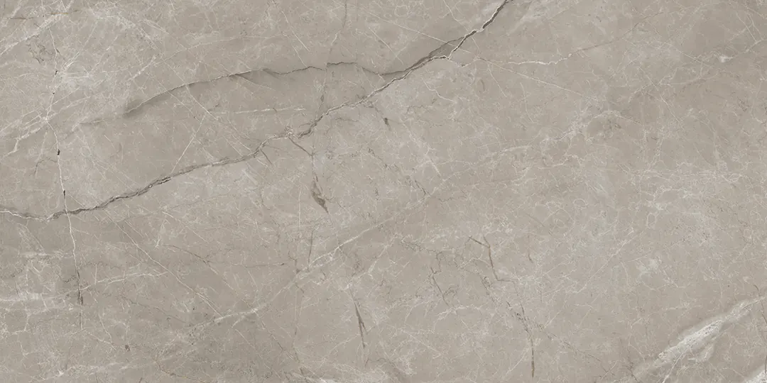 ARGENTA GRIS